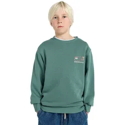 Sweat-shirt Foundation Cr Sagebrush 16 Années Garçon