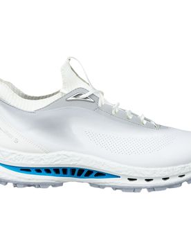 Golfschuhe Herren Golf Biom C5, weiß/hellgrau/blau 42