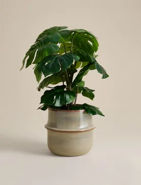 Artificial Monstera Plant in Ceramic Pot Natural - M&S - FashionsVida