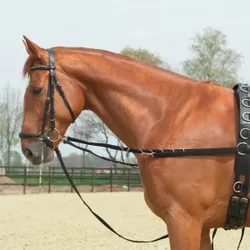 Ausbindezügel OESEN-STARR schwarz SH/M-Pony