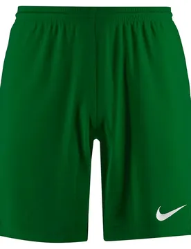 Short Dri Fit Park 3 Knit Pine Green / White M