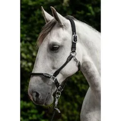 HKM Halfter CARLOTTA schwarz Pony