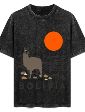 Bolivia T-Shirt Everyday Wear Basic Short Sleeve Top - Aliexpress - FashionsVida