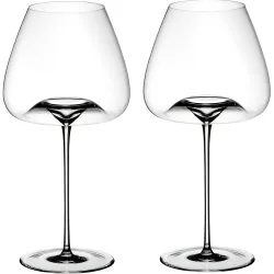 Juego de 2 copas para vinos complejos Vision