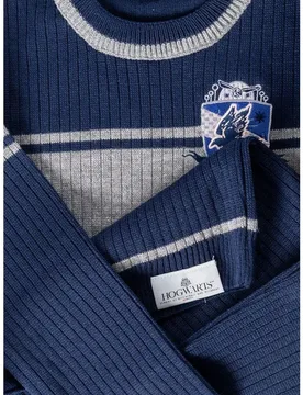 Cid Felpa Harry Potter Ravenclaw - CID - FashionsVida