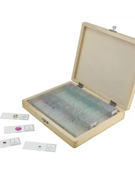 Diapositives Préparées Pour Le Montage Brown One Size unisex - Celestron - FashionsVida