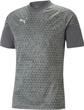 TeamCUP Training Herren T-Shirt, grau M - Puma - FashionsVida