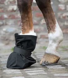 Hufverbandschutz, schwarz PON