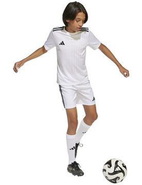 T-Shirt T-Shirt Campeon 25 Manches Courtes En Polyester Recyclé Einheitsgrösse Male