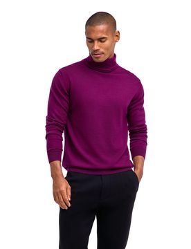 Pure Merino Wool Herren Pullover