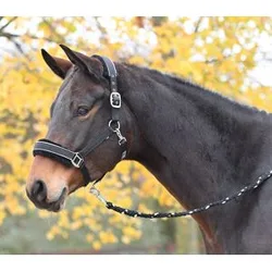 Halfter IDEAL, schwarz-silber SH