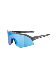 Herren Radbrille Sonic HR Q grau M