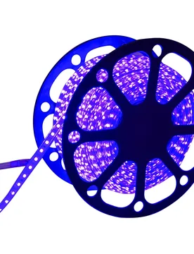Bande Led B10302ldk 50 M 6w Blue One Size - AIGOSTAR - FashionsVida
