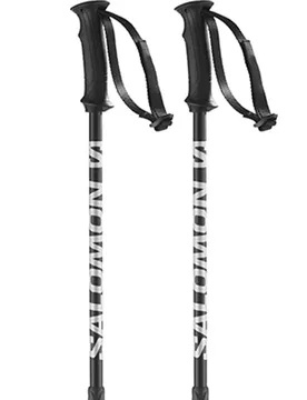 Bâtons Rental Telescopic Silver / Black 110-135 cm Homme