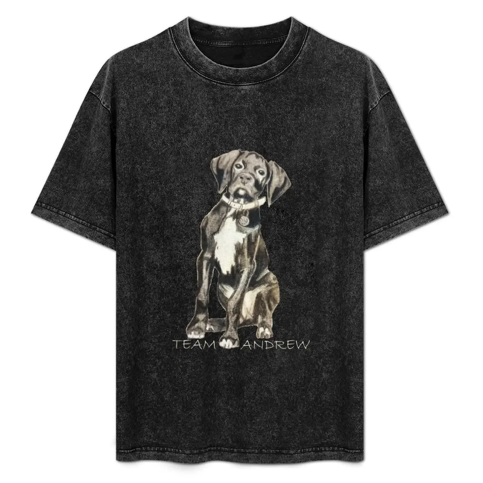 Team Andrew - Light Text T-Shirt Basic Solid Color Short Sleeve T-Shirt - Aliexpress - FashionsVida