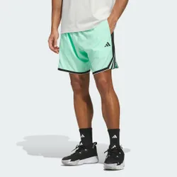 SHORT CRAZY LITE L 23 CM Pulse Mint