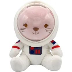 Gato Astronauta
