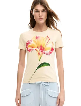 Desigual Damen T-Shirt Beige 509509