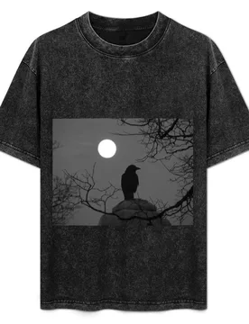 Moonlit Crow T-Shirt Casual Loose Fit Summer Tee Shirt - Aliexpress - FashionsVida