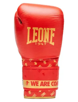 Gants De Boxe Artificiels Cuir Dna Red 10 oz