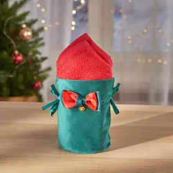 Geschenkbeutel mit Gästetüchern grün 3-tlg