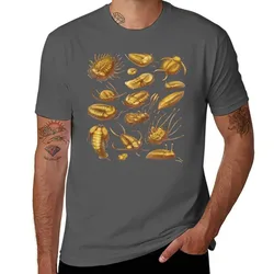 Golden Trilobites T-Shirt Ultra Soft Breathable Tee Top