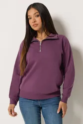 Women's Petite Quarter Zip Sweatshirt in Purple Size: 12 - Purple - Size: 12