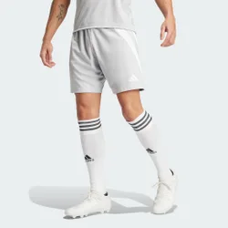 Fortore 23 Pantaloni Corti M Team Light Grey / White