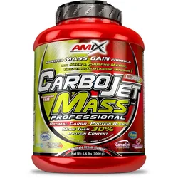 Bevanda Di Polvere Di Carboidrati Carbojet Mass Professional Fragola E Banana 3kg Red / Lime
