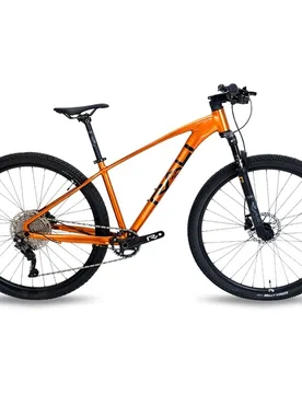 Bicicleta de montaña ADV-I 2024 29" - Rali - FashionsVida