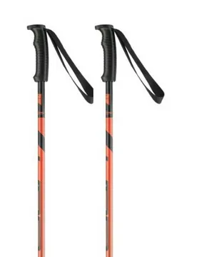 Bâtons Hotrod Orange 110 cm Homme - Elan - FashionsVida