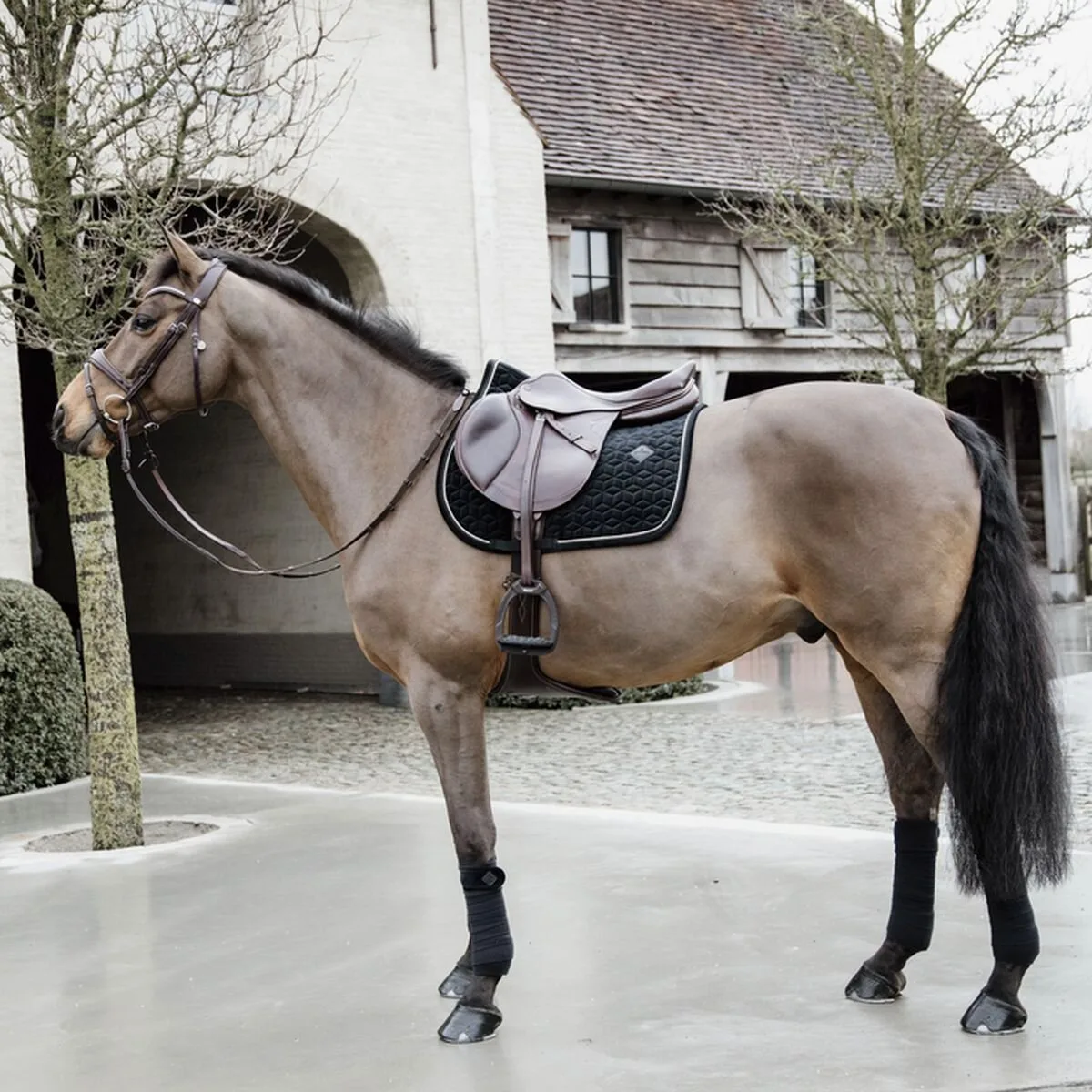 Schabracke BASIC VELVET COB schwarz VS - Kentucky Horsewear - FashionsVida