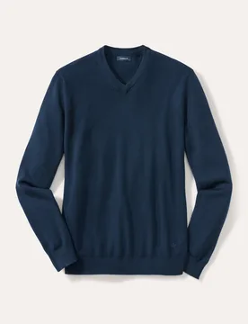 V-Pullover Merino Extrafein, , Farbe Blau, 54, reine, extrafeine Merinowolle temperaturausgleichend Herren - Walbusch - FashionsVida
