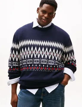 BT-PLACED FAIRISLE CTN CNECK-B male