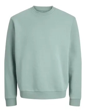 JJEBRADLEY SWEAT CREW NOOS male