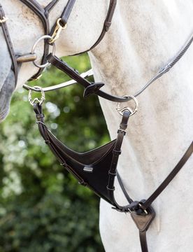 Martingalgabel, brown/silver Cob