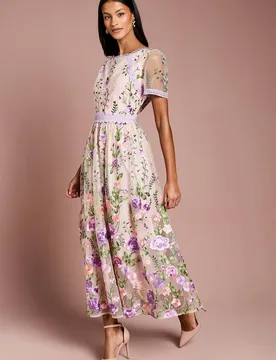 Women's Petite Lace Trim Detail Embroidered Mesh Midi Dress in Blush Size: 12 - Blush - Size: 12 - Coast - FashionsVida