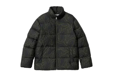 Springfield Jacket - Jacke-Winterjacke - grün / schwarz - Herren - Size: M