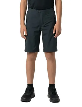 Scott Shorts Avec Chamois Vertic