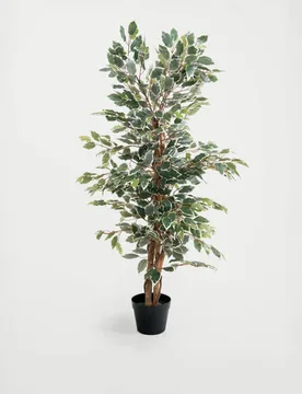 Ft Artificial Ficus Tree in Pot Green Mix - Blooming Artificial - FashionsVida