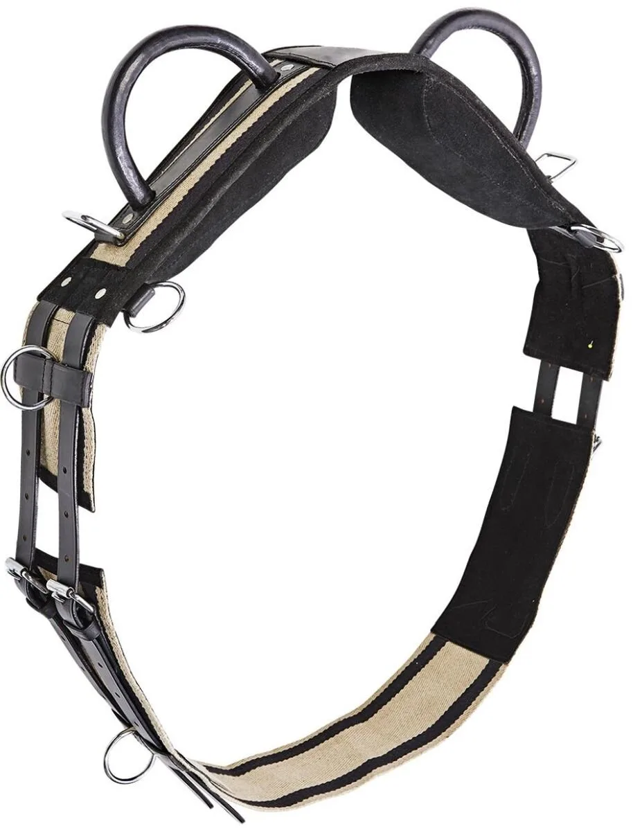 Longiergurt DOUBLE, schwarz SH - Busse - FashionsVida