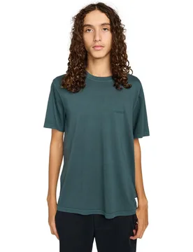 Camiseta de hombre Lowcase Pigment - Element - FashionsVida