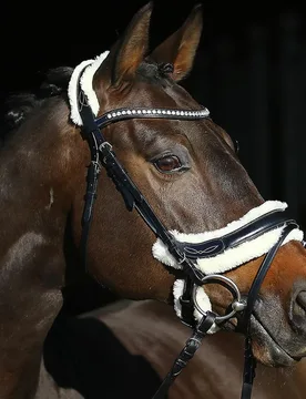 Trense LEON, Euro-Club, Fellimitat, schwarz/natur PONY - Euroriding - FashionsVida