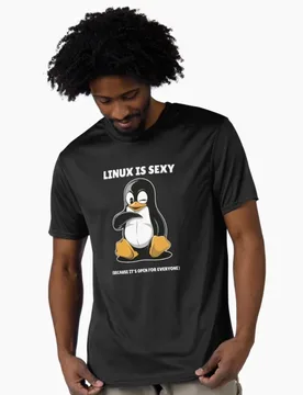 Linux is Sexy Penguin Funny Command Humor Developer Gift t shirt for Software Engineer Graphic clothes All size Tops S-6XL - Aliexpress - FashionsVida