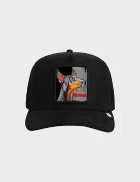 CAPPELLO BEWARE DOBERMAN TRUCKER - goorin - FashionsVida