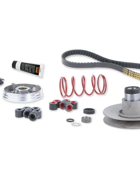 Gruppo Trasmissione Completo Over Range Per Motori Yamaha-Minarelli Mbk Booster 50 2t Euro 0-1 - Malossi - FashionsVida