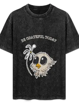 Be grateful today T-Shirt Big Size Daily Wear T-Shirt - Aliexpress - FashionsVida