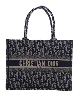 Medium Oblique Embroidered Canvas Book Tote - Dior - FashionsVida