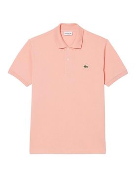 Polo In Cotone Con Ricamo Logo