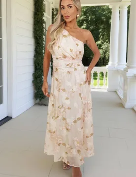 Women's Blush Floral Embroidered Chiffon One Shoulder Midi Dress in Pink Size: 8 - Pink - Size: 8 - AX Paris - FashionsVida
